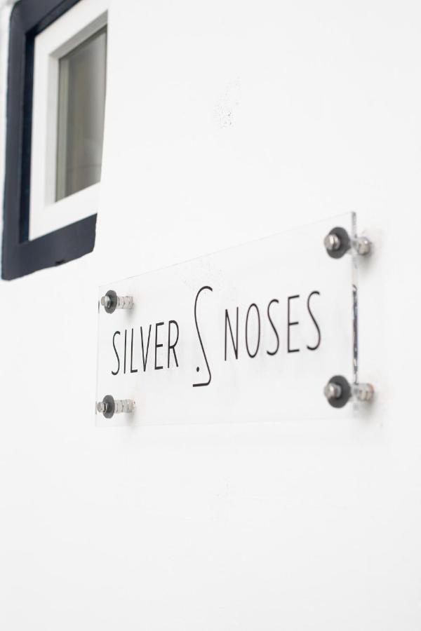 Tatil Evi Silvernoses Little Venice,